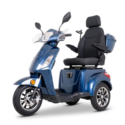 Skútr pro seniory inSPORTline Zorica Deluxe foto