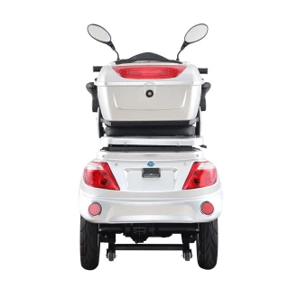 Čtyřkolka pro invalidy EleBus Tom foto