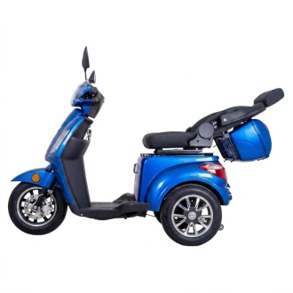 Invalidní tříkolka inSPORTline Zorica Deluxe foto